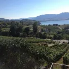 Entreprises 9 image APRÈS WINE TOURS travel & tourism dans Kelowna BC