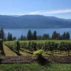 Entreprises 1 image APRÈS WINE TOURS travel & tourism dans Kelowna BC