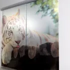 Entreprises 10 image APWINDOW FILM Window Tinting dans Ottawa ON