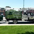 Entreprises 4 image ARBRES EXPERTS PLUS INC Tree Work & Forestry Services dans Saint-hubert QC