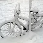 Business 5 image ARCTIC SNOW REMOVAL Snow Removal Services in Burnaby BC