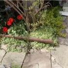 Entreprises 7 image ARMSTRONG & NELSON EAVESTROUGHING Gutter & Downspout Installation & Repair dans Etobicoke ON