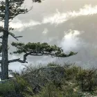 Business 3 image ATMOSPHERE COUNTRY CLUB Sports & Recreation in Nanaimo BC