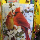 Business 4 image AU JARDIN DE SYLVIE Shopping in Gatineau QC