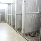 Business 5 image AUBERGE LA NICHE - PENSION CANINE DE L'ESTRIE Pet Sitters in Sherbrooke QC