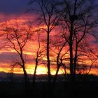 Entreprises 2 image AUGUSTINE HOUSE Residential, Retirement & Care Homes dans Delta BC