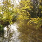 Entreprises 4 image AUGUSTINE HOUSE Residential, Retirement & Care Homes dans Delta BC