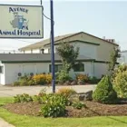 Entreprises 6 image AVENUE ANIMAL HOSPITAL LTD Veterinarians dans Saint John NB