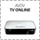 Business 2 image AVOV TECHNOLOGY Internet Service Providers in Richmond Hill ON