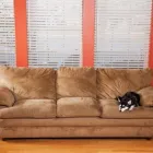 Business 2 image B & B BLINDS LTD Real Estate & Home Improvement in Calgary AB