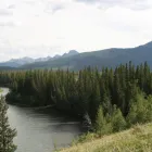 Business 2 image BANIRA PSYCHOLOGICAL CORP Psychologists in Edmonton AB