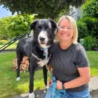 Business 3 image BARK BUSTERS IN HOME DOG TRAINING Dog Training in Vancouver BC