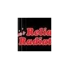 Entreprises 1 image BARRIE'S RELIABLE RADIATOR Truck Repair dans Barrie ON