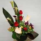 Entreprises 4 image BAXTER-KOBE FLORIST Shopping dans Burnaby BC