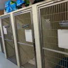 Entreprises 4 image BAYVIEW HILL ANIMAL HOSPITAL Veterinarians dans Richmond Hill ON