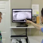 Entreprises 7 image BAYVIEW HILL ANIMAL HOSPITAL Veterinarians dans Richmond Hill ON