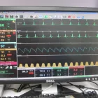 Entreprises 3 image BAYVIEW MALL VETERINARY CLINIC Veterinarians dans North York ON