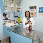 Entreprises 4 image BAYVIEW MALL VETERINARY CLINIC Veterinarians dans North York ON