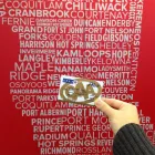 Entreprises 2 image BCAA Legal & Financial Services dans Coquitlam BC