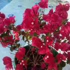 Entreprises 3 image BEAL A LYNNE DR Psychologists dans Toronto ON