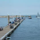 Entreprises 4 image BEAL A LYNNE DR Psychologists dans Toronto ON