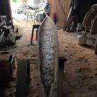 Entreprises 20 image BEAUSBOATS Real Estate & Home Improvement dans Nanaimo BC