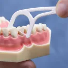 Entreprises 4 image BEDDINGTON DENTURE CENTRE Health & Medicine dans Calgary AB