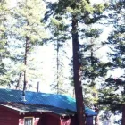 Business 6 image BEDNESTI TREE SERVICES INC Tree Work & Forestry Services in Prince George BC