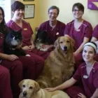 Business 1 image BEECHWOOD ANIMAL HOSPITAL Veterinarians in Vanier ON
