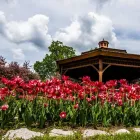 Business 5 image BEECHWOOD FUNERAL CEMETERY & CREMATION SERVICES Funeral Services & Crematories in Vanier ON