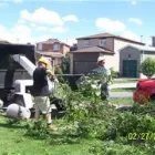 Entreprises 3 image BEECHWOOD TREE CO Tree Work & Forestry Services dans Brampton ON