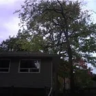 Entreprises 5 image BEECHWOOD TREE CO Tree Work & Forestry Services dans Brampton ON
