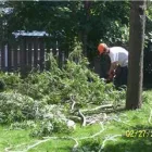 Entreprises 1 image BEECHWOOD TREE CO Tree Work & Forestry Services dans Brampton ON