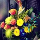 Business 5 image BELLAMY FLOWERS - LOCATED IN THE HEART OF MISSISSAUGA & BRAMPTON Shopping in Brampton ON