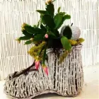 Business 1 image BELLAMY FLOWERS - LOCATED IN THE HEART OF MISSISSAUGA & BRAMPTON Shopping in Brampton ON