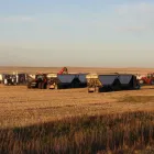 Business 2 image BEN & DONNA WALTER'S HARVESTING Industries & Agriculture in Lethbridge AB