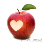 Business 6 image BEST HEALTH ACUPUNCTURE AND WELLNESS CLINIC Reproductive Health Clinics in Maple ON