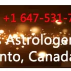 Entreprises 15 image BEST INDIAN ASTROLOGER & PSYCHIC READER Clairvoyants & Psychics dans North York ON