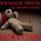 Entreprises 4 image BEST INDIAN ASTROLOGER & PSYCHIC READER Clairvoyants & Psychics dans North York ON