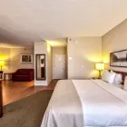 Business 54 image BEST WESTERN MONTREAL AEROPORT - AIRPORT HOTEL travel & tourism in Saint-Laurent QC