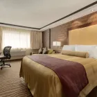 Entreprises 51 image BEST WESTERN PLUS EDMONTON AIRPORT HOTEL travel & tourism dans Leduc AB