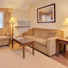 Business 71 image BEST WESTERN PLUS EMERALD ISLE HOTEL travel & tourism in Sidney BC