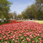 Business 15 image BEST WESTERN PLUS OTTAWA DOWNTOWN SUITES travel & tourism in Ottawa ON