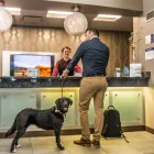 Entreprises 10 image BEST WESTERN PLUS WINE COUNTRY HOTEL & SUITES travel & tourism dans West Kelowna BC