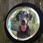 Business 12 image BLAIR'S FENCING Real Estate & Home Improvement in Parksville BC