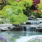 Business 3 image BLUE SPRUCE LANDSCAPING Real Estate & Home Improvement in Victoria BC