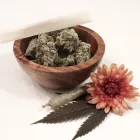 Entreprises 2 image BODYSTREAM MEDICAL CANNABIS CLINICS Medical Equipment & Supplies dans Belleville ON