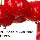 Business 2 image BOUTIQUE PASSION ACTION Arts, Entertainment & Nightlife in Sherbrooke QC