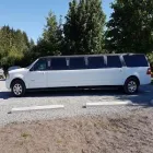Entreprises 4 image BRAMPTON LIMO SERVICE travel & tourism dans Brampton ON