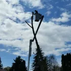 Entreprises 7 image BRANCHES TREE SERVICE Tree Work & Forestry Services dans Bowmanville ON